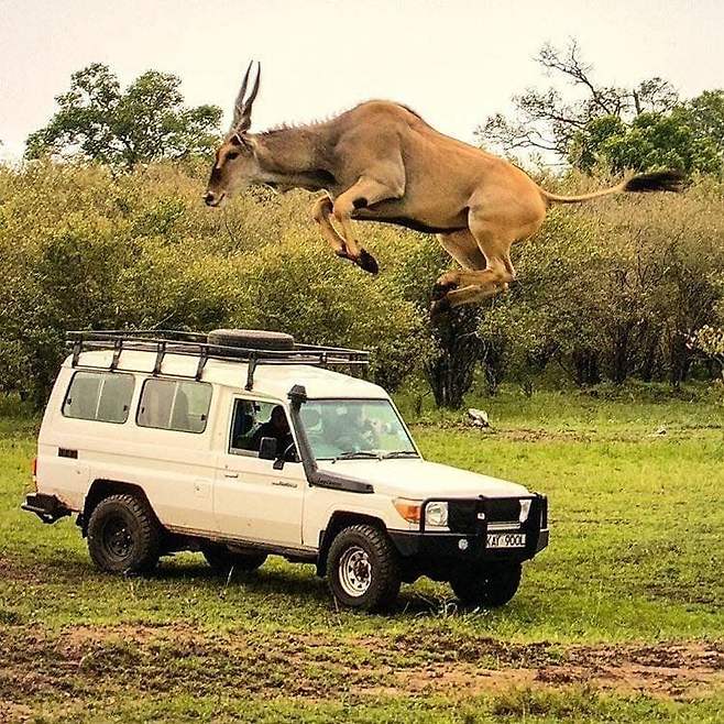 29b4de29a88068f43bef84e7479c756eb85f0529a743389181d12a37fce78c7492236907321cd595943dac88f34bd8