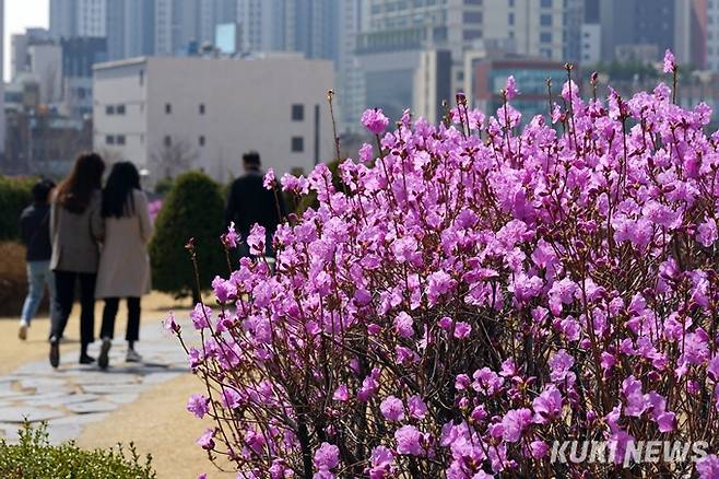 한 대학 학생들이 교정을 거닐고 있다. 사진은 기사와 직접 관련이 없습니다.&nbsp; &nbsp;사진=박효상 기자