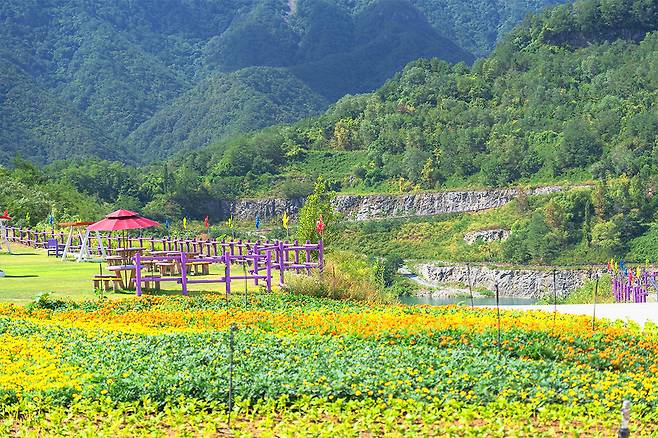 동해 무릉별유천지