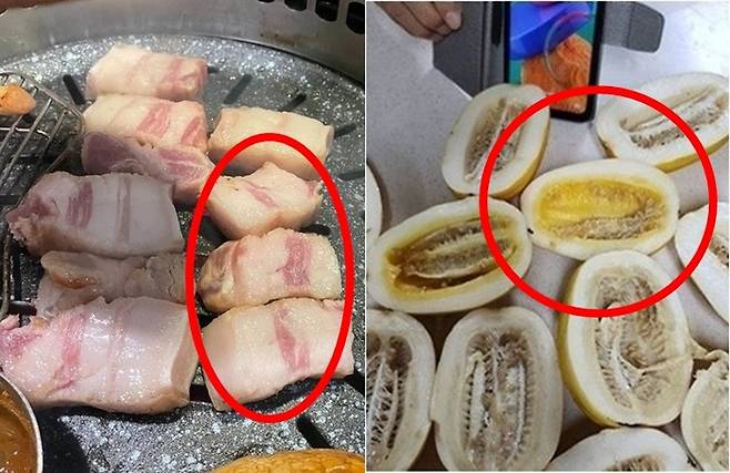 삼겹살과 참외 사진 [출처=SNS]