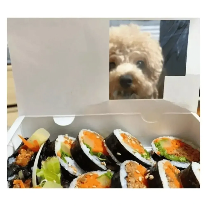 image.png 김밥 포장용기 대참사