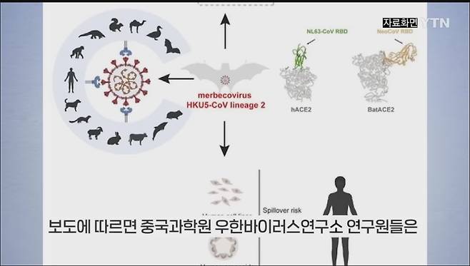 IMG_7935.jpeg 중국 우한서 \'신종 박쥐 코로나바이러스\' 또 발견 ㅎㄷㄷㄷ