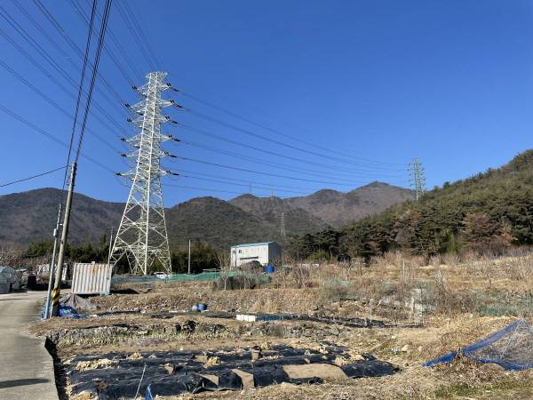 양산 양주초 이전지로 거론 되는 교동 학교부지. 김성룡 기자