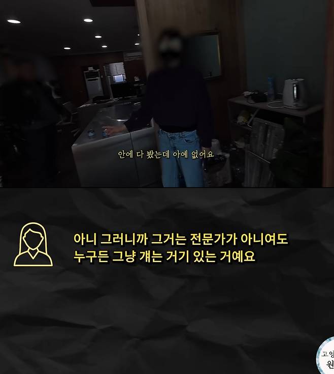 ('고양이탐정: 원룸 사는 고양이' 갈무리)