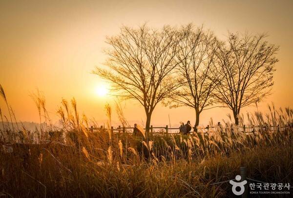 포토코리아-라이브스튜디오 김학리