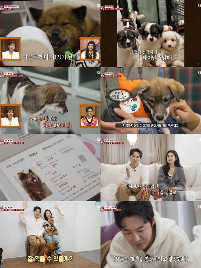 ‘동물농장’ 전진·류이서, 만세와 가족 사진 (사진: SBS)