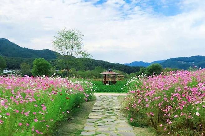 양구 꽃섬