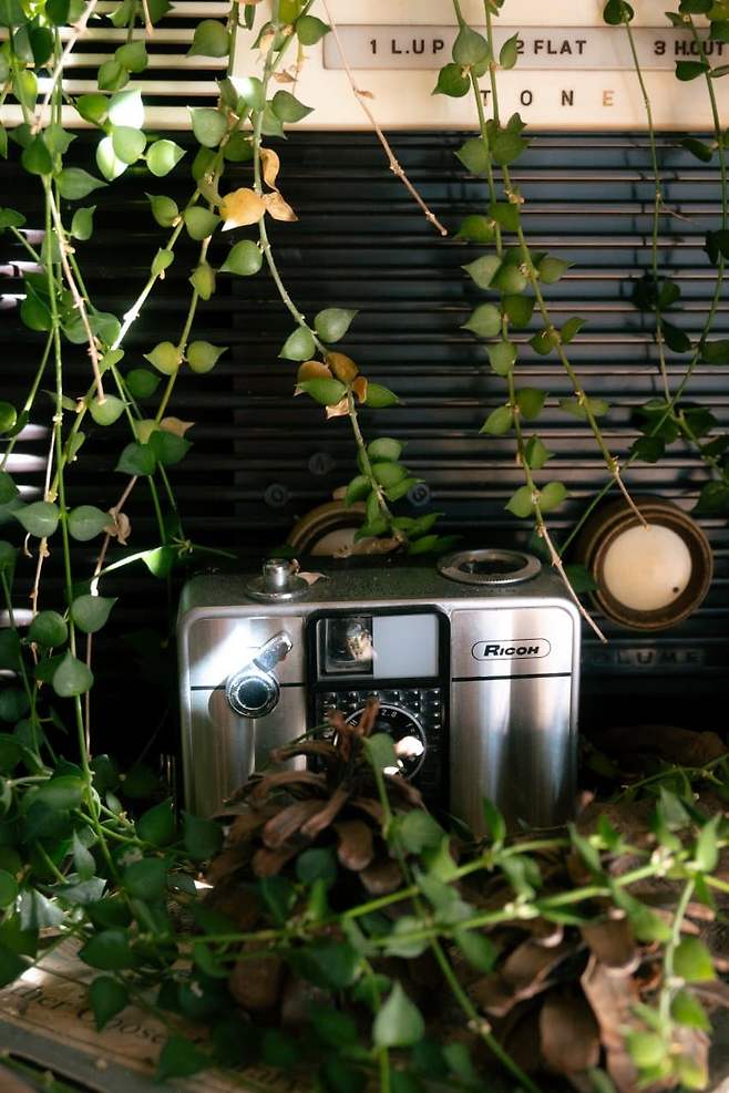 098ef319b58361fe26ee9ffb1cc1231df2d66df51cd04b49f92a9ff6