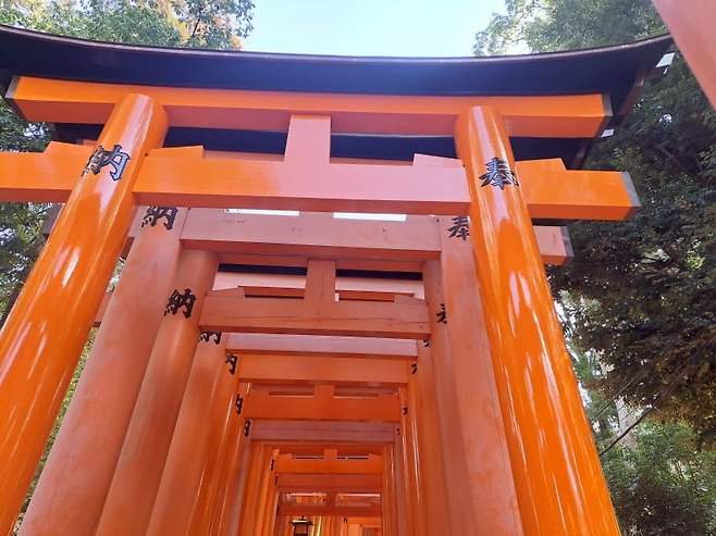 7fed8273b5806af351ee84e44e8376736692b314afbc60b7c7071bc2d5ddbc12