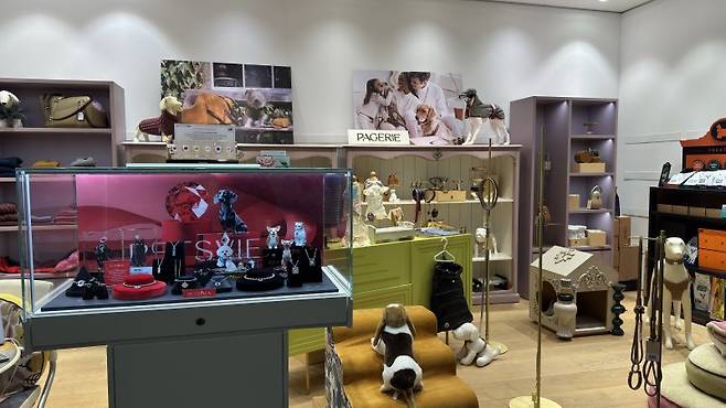 서울 강남구 청담동 피엔폴루스 SSG 1층에 위치한 하이엔드 반려동물 셀렉샵 '도프너' 1호 오프라인 매장.