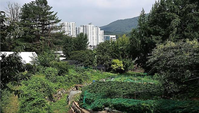 사진=연합뉴스