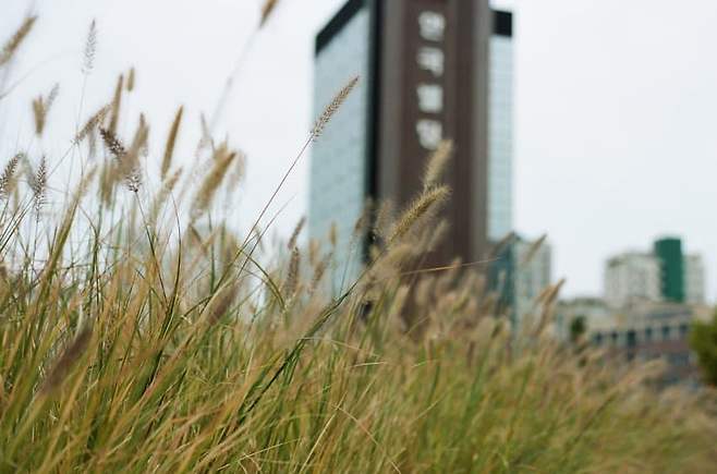 7ded8076b6846bf33eef84e058db343a809f5bd6e029f2d4f25612c03e