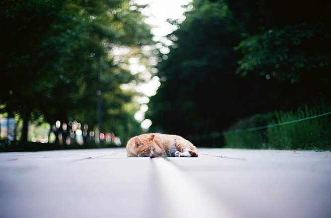 7ded8076b5866df63eef84e158db343a649dd0b214f407b2bc0aa75f5f