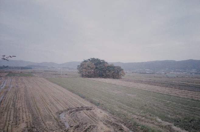 7ded8070b08260fe3eef84ec2992677e6a6b4253f946ccf2c7090709e87b3ba9b7