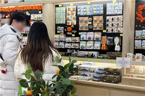 IMG_8290.jpeg 현재 ㅈ됐다는 관광지 기념품 업계 근황 ㅎㄷㄷㄷㄷ