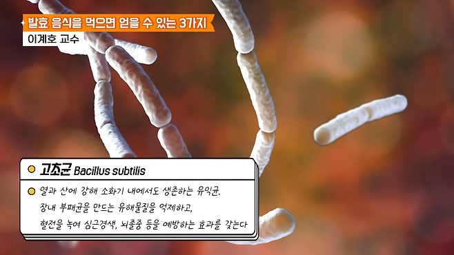 image.png 상업용 유산균(영양제)는 큰 도움이 되지 않음 그래서 고초균을 먹어야 함 고초균은 어디에 있냐 바로