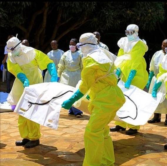 ▲ 콩고 박쥐 관련 의료진 사진 [X(구 트위터)]