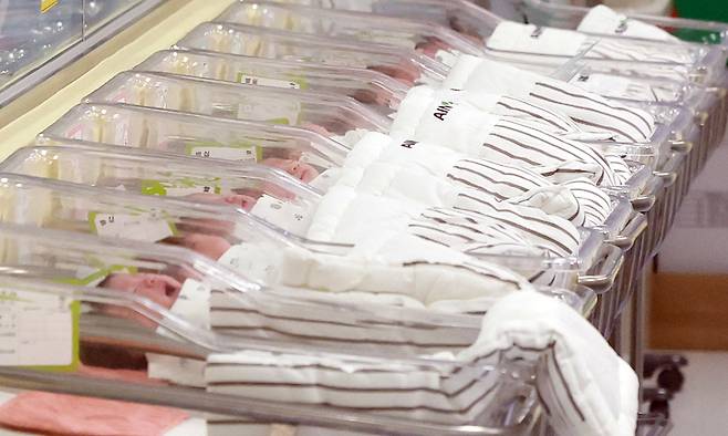 한 병원에서 간호사가 신생아를 돌보고 있다. 뉴스1