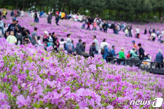 21일 서울 노원구 2024 불암산 철쭉제를 찾은 시민들이 불암산 힐링타운 일대에 조성된 철쭉동산에서 봄을 만끽하고 있다. 2024.4.21/뉴스1 ⓒ News1 유승관 기자