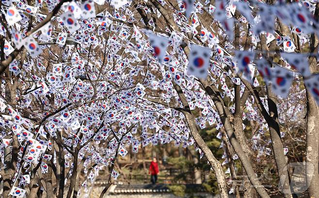 3.1절을 이틀 앞둔 27일 오후 서울 용산구 효창공원에 태극기 거리가 조성돼 있다. 2025.2.27/뉴스1 ⓒ News1 김도우 기자