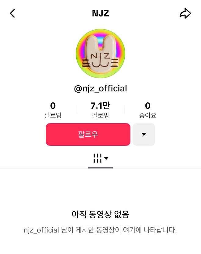 뉴진스(NJZ)  틱톡