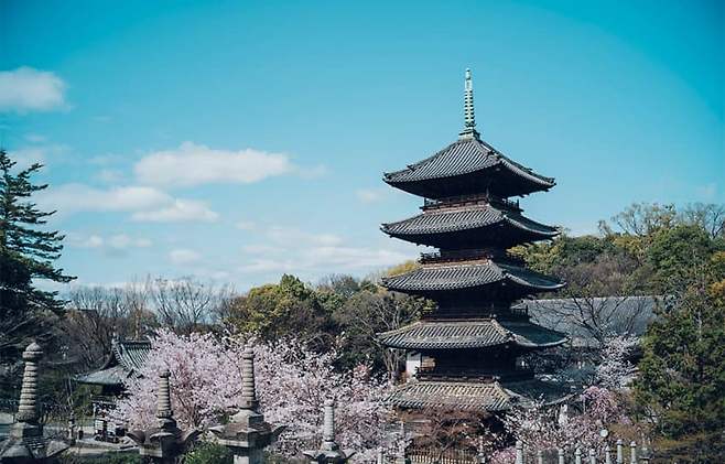 3eb8d319ecdf3ff63af287fb1cc1231dd35136ff429b48d9e58d9d