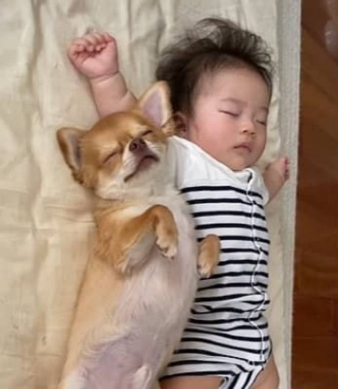 미소 지어지는 사진