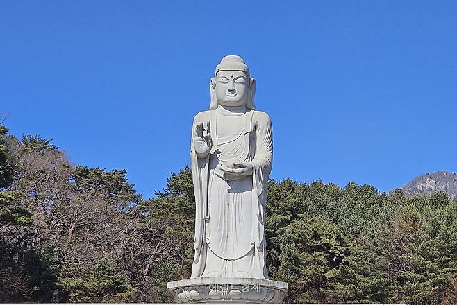 대구 동화사 통일약사대불