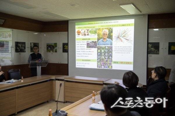 울릉군이 학계 등 전문가들과 명이 이름찾기 자문회의를 진행하고 있다. 사진제공 ㅣ 울릉군