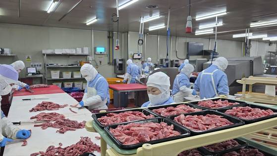 지난 20일 경기도 용인 오케이미트 육류 가공 공장에서 직원들이 미국산 소고기를 가공하고 있다. 용인=노유림 기자