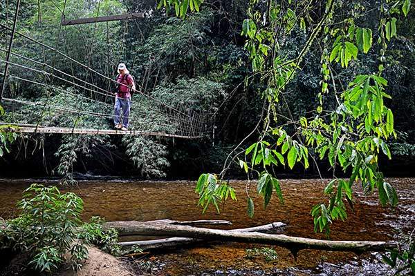 위태해 보이는 이 다리는 무려 50여 년 됐다. 다리는 한 번에 한 사람만 건너도록 제안하고 있다.