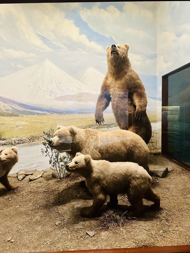 KakaoTalk_20250228_234930796_02.jpg [여행기]44일간 미국여행 28 / 시카고