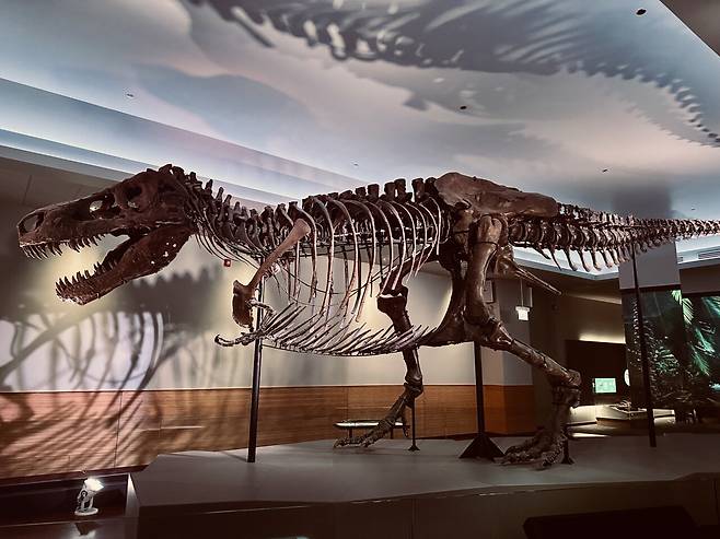 KakaoTalk_20250301_011207628.jpg [여행기]44일간 미국여행 28 / 시카고