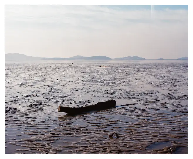 7ded8076b18661ff3eef86ed58c6213f131ba68cc3df2a06ac498239ee59