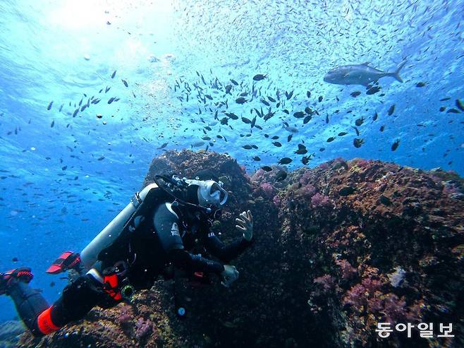 태국 시밀란 국립공원 바닷 속.