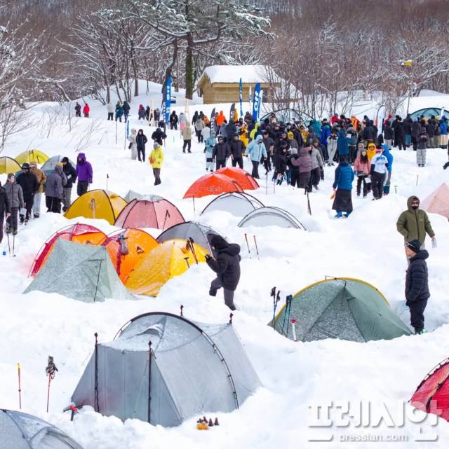 ▲지난 21일부터 23일까지 사흘간 K-관광섬 일환 '울루랄라 설국모험 설산하이킹'이 경북 울릉군 북면 일대서 열리고 있다. ⓒ울릉군