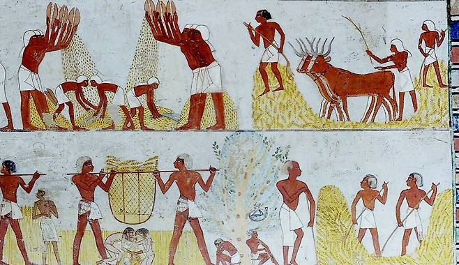 농사짓는 모습이 그려진 고대 이집트 고분의 벽화. ⓒFlickr