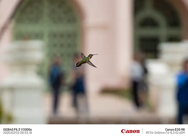 7fe88075b58075ff20a8d3b706f11a397b11b29235e910d41177