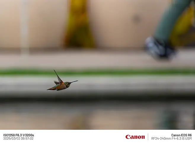 7fe88075b58075f737f1c1b014c10403d04aa7bdd7185ed0ee72d5