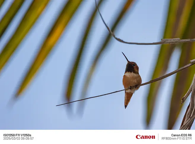 7fe88075b58075f020a8d3b706f11a391d6ac4f42927aebac214