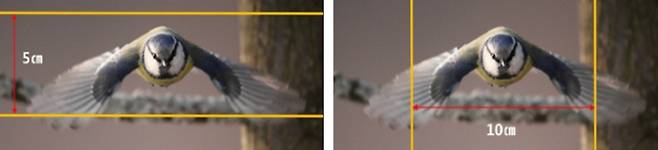 5X10규칙 예시. 서울시