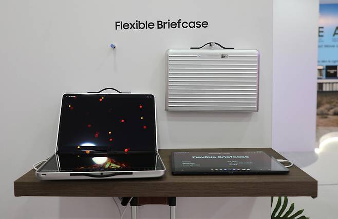 삼성디스플레이 제공