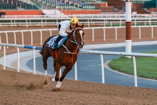 안장 위에 타고 질주하는 기수