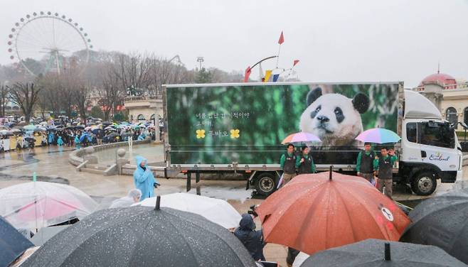 에버랜드 판다월드 사육사들이 3일 오전 경기 용인시 에버랜드에서 중국으로 가는 자이언트 판다 '푸바오'를 실은 특수차량과 기념촬영을 하고 있다. /사진=삼성물산