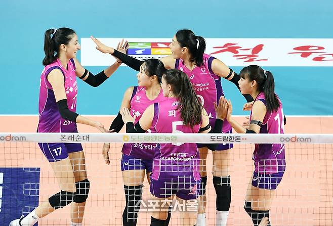 흥국생명 선수들이 25일 인천 삼산월드체육관에서 열린 2024-2025 V리그 여자부 IBK기업은행과 경기에서 득점을 한 뒤 하이파이브를 나누고 있다. 2025. 2. 25.  인천 | 박진업 기자 upandup@sportsseoul.com