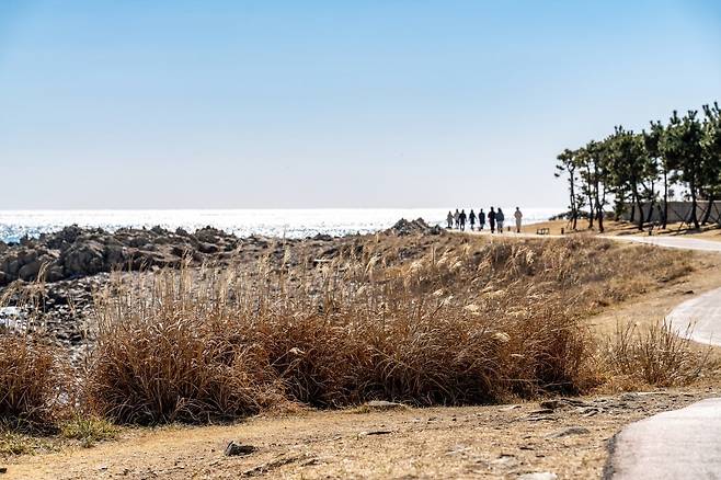오시리아 해안산책로(사진=이효태)