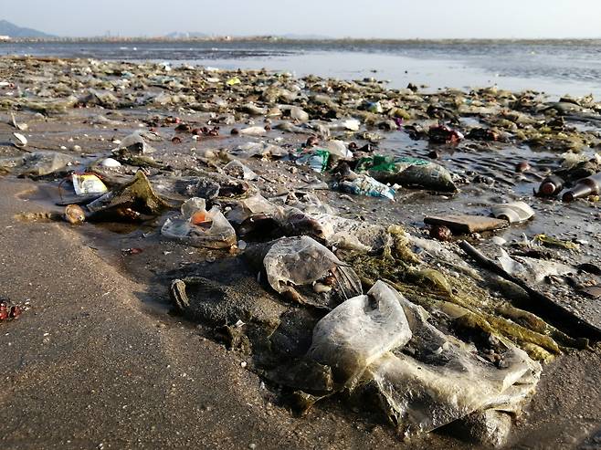 해안가에 버려진 쓰레기.[게티이미지뱅크]