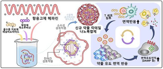 고형암 치료용 나노복합체(HepDL)의 연구 도식. (사진=경희대 제공)  *재판매 및 DB 금지