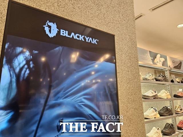 비와이엔블랙야크가 운영하는 아웃도어 브랜드 블랙야크에서 약 34만건의 개인정보가 유출됐다. /더팩트DB