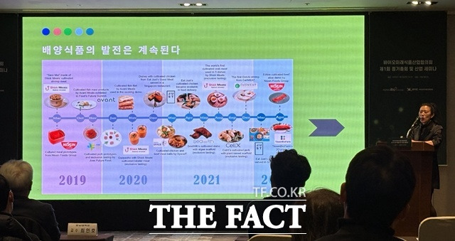 지혜련 HAE creative 대표는 배양식품이 뉴카테고리로서 소비자에게 선택받는 방법을 설명했다. /문화영 기자
